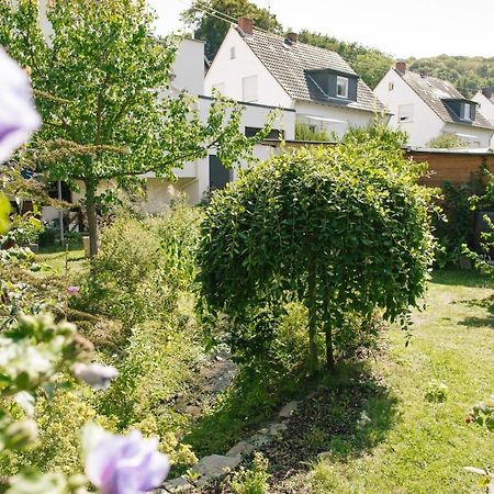 Ferienwohnung Am Breyer Talbach エクステリア 写真